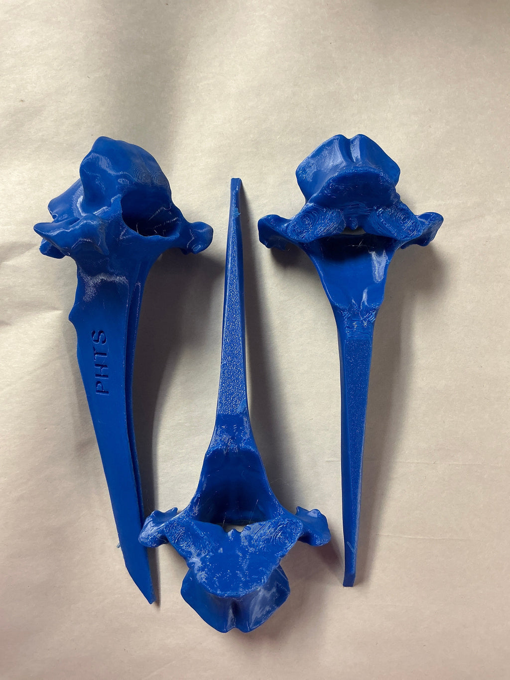 White Vertebrae Bone-synthetic material