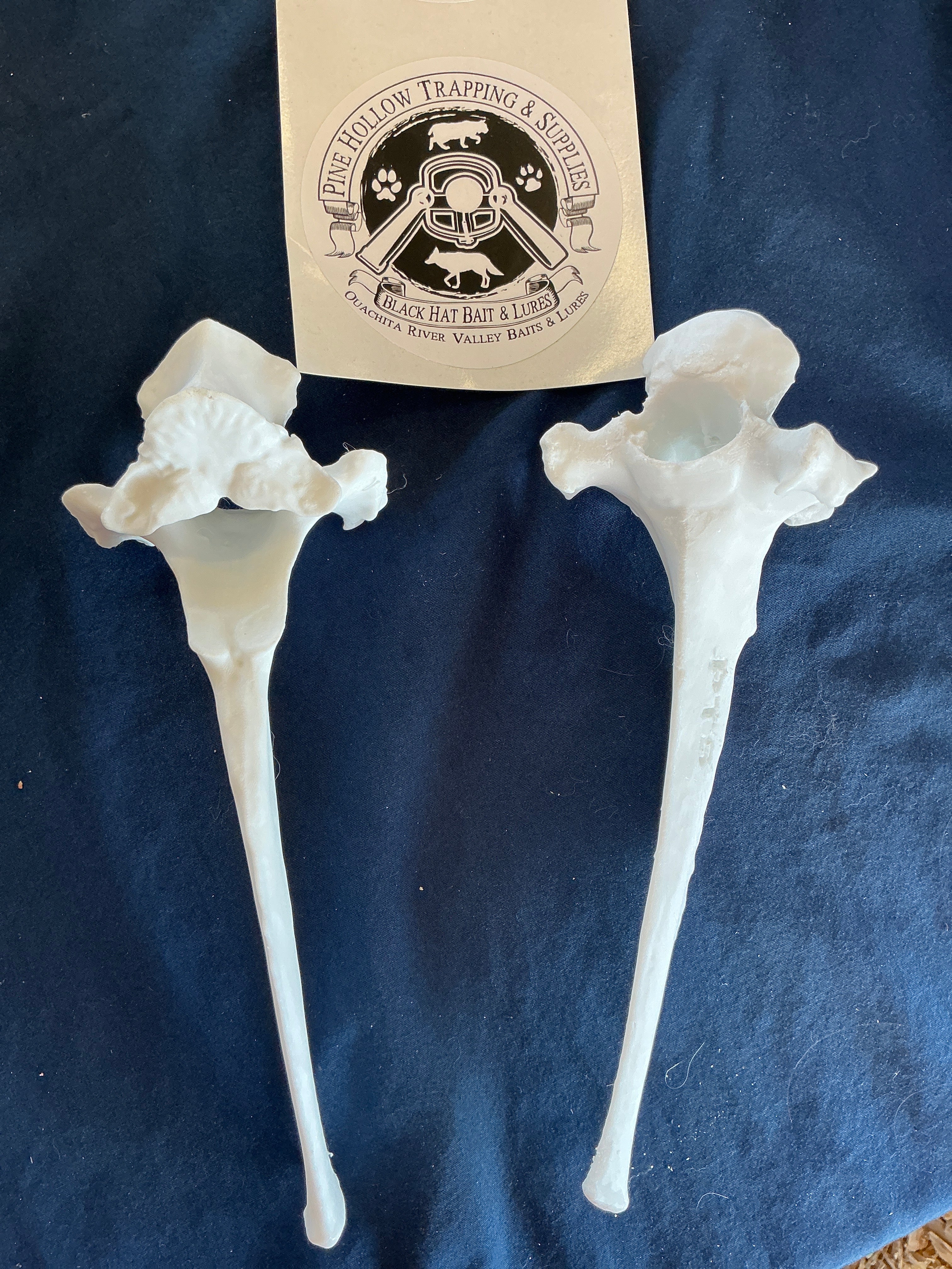 White Vertebrae Bone-synthetic material – Kansas Trapline Products