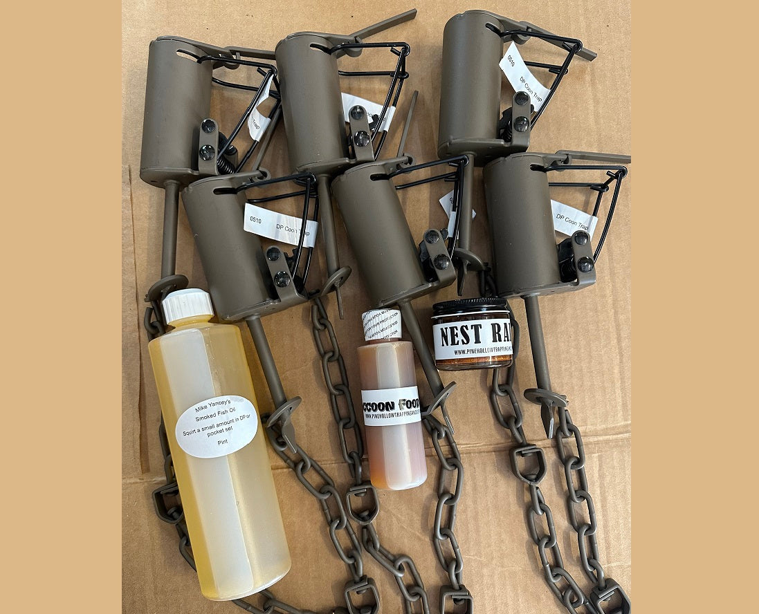 DP Raccoon Starter Kit